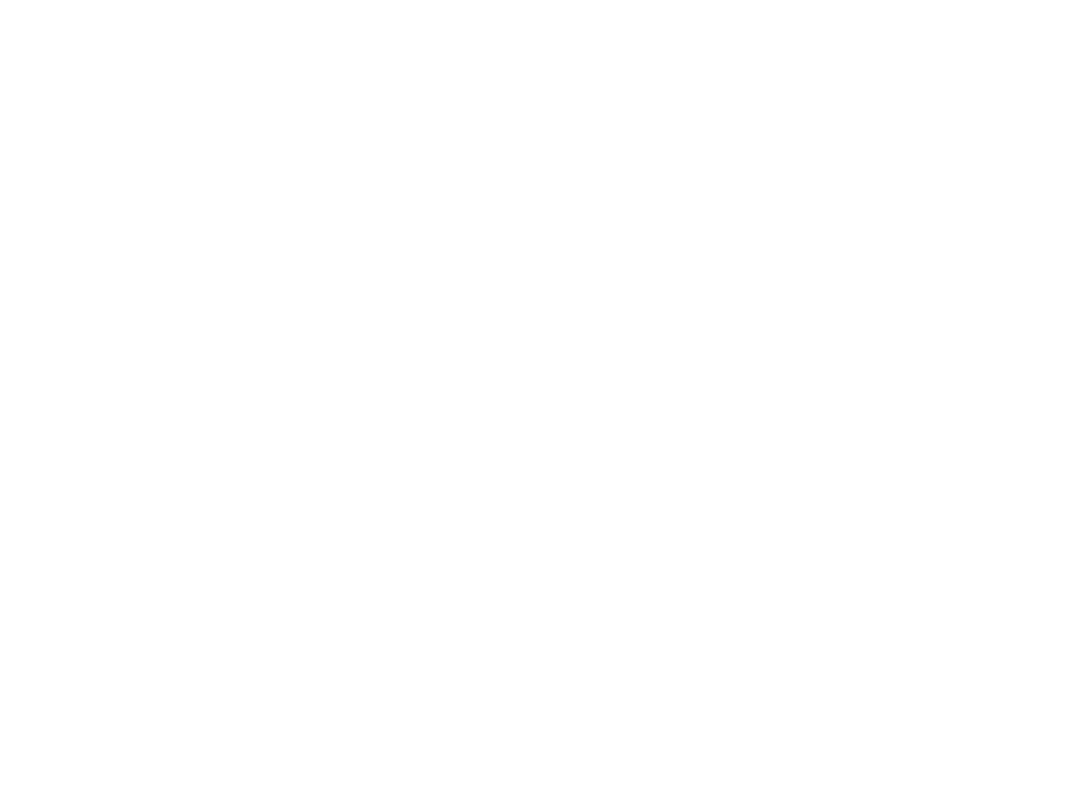 Energie Vitale